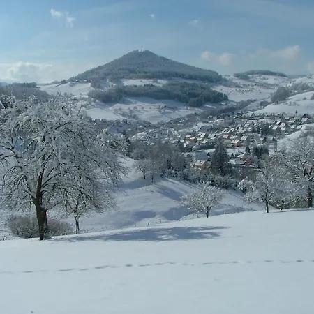 Sur Le Mont Apartment Lapoutroie
