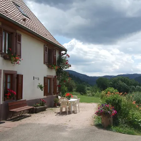 Apartment Sur Le Mont Lapoutroie